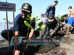 PRAJURIT LANAL BANYUWANGI BERSAMA SATGAS OPS TRISILA-24 TAHAP III TANAM MANGROVE DI PANTAI CEMARA BANYUWANGI
