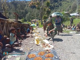 Prajurit Yonif 323 Buaya Putih Borong Hasil Tani Masyarakat Beoga
