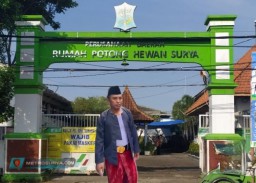 Jagal RPH Pegirian Tolak Pemindahan Tempat Baru