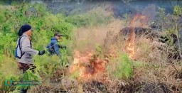 Polri dan Tim Gabungan Berhasil Padamkan Kebakaran Hutan di Lereng Arjuno Malang