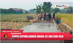 Pemdes Dapurkejambon Bangun JUT dari Dana Desa untuk Permudah Akses Petani