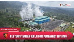 Pengguna REC Naik 65 Persen, PLN Terus Tambah Suplai dari Pembangkit EBT Baru