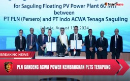 Gandeng ACWA Power, PLN Siap Lebarkan Pemanfaatan Energi Bersih di Indonesia