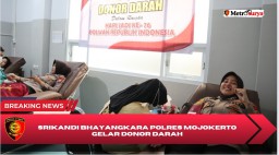 Sambut Hari Jadi Polwan ke-76, Srikandi Bhayangkara Polres Mojokerto Gelar Donor Darah