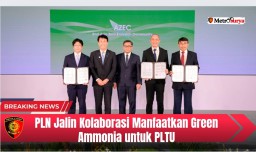 Akselerasi Transisi Energi, PLN Jalin Kolaborasi Manfaatkan Green Ammonia untuk PLTU