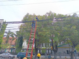PLN Icon Plus Menata Kabel FO di Tiang PLN Madiun Kota Guna Jaga Estetika Kota dan Keandalan Jaringan