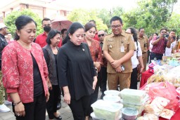 Pelaku UMKM Berharap DPR Dorong Pemerintah Beri Pelatihan Hingga Permodalan
