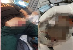 Diduga Karena Perselingkuhan, Istri Seorang Anggota TNI Tega Potong Burung Perkutut Suaminya. 
