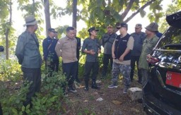 Sukseskan Program Ketahanan Pangan, Perhutani Bersama Pemkab Jombang Gerak Cepat