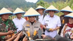 Polresta Cirebon Panen Raya Jagung: Kolaborasi untuk Ketahanan Pangan Nasional