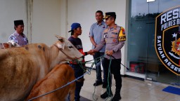 Polres Bondowoso Berhasil Temukan dan Kembalikan Tiga ekor Sapi yang Hilang Pemilik Tersenyum Riang