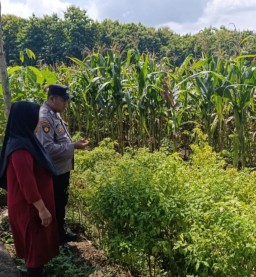 Polsek Ngimbang dan Masyarakat Monitoring Program P2B di Desa Lamongrejo