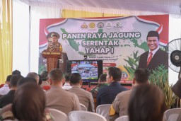 Dukung Swasembada Pangan, Polres Jombang Panen Raya Jagung Tahap I