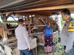 Bhabinkamtibmas Polsek Sarang Sambangi Peternak, Cegah PMK Meluas