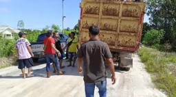 Sengketa Lahan Sawit: Preman Diduga Kawal Aktivitas Panen PT AEL