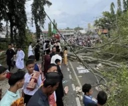 Tragedi Sholat Idulfitri di Pemalang: Pohon Tumbang Tewaskan Dua Jemaah, Kapolres Ungkap Kondisi Terkini