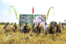 Jombang Sukseskan Panen Raya Padi Serentak Nasional Bersama Presiden Prabowo