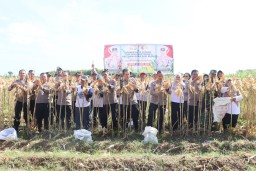 Polres Kediri Kota bersama Warga Tani Panen Raya Jagung, Wujud Nyata Dukung Swasembada Pangan