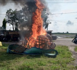 Berantas 303, Polisi Bongkar Arena Judi Sabung Ayam di TPS Sidoarjo, 24 Motor dan 16 Ayam Diamankan