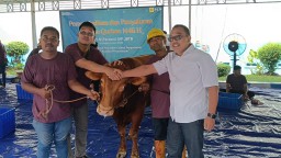 Penyembelihan Hewan Qurban 1446 H: PLN UIP JBTB Teguhkan Nilai-nilai Keikhlasan dan Kebersamaan