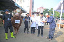 Kapolda Jabar Sumbangkan Dua Ekor Sapi Limosin untuk Pesantren