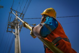 Semangat Hari Lahir Pancasila, PLN Jaga DER dan CICR Tetap Positif Sepanjang 2024 Kapasitas Perseroan Makin Kuat