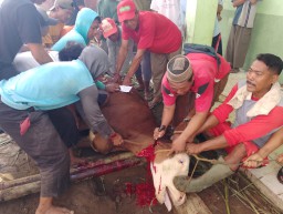 Arisan Qurban Jadi Tradisi Idul Adha di Desa Cibogo Kecamatan Waled Kabupaten Cirebon