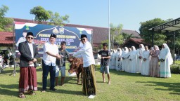 Polres Jombang Distribusikan Hewan Qurban ke Pondok Pesantren, Yatim Piatu, Yayasan Pendidikan Hingga Masjid