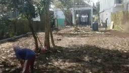 Pujasera Cilimus: Transformasi Tanah Wakaf Jadi Pusat Kreatif dan Kuliner UMKM di Kuningan