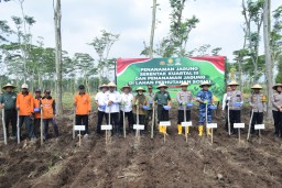 Perhutani Ikuti Penanaman Jagung Serentak Kuartal III Yang Diselenggarakan Polres Jombang