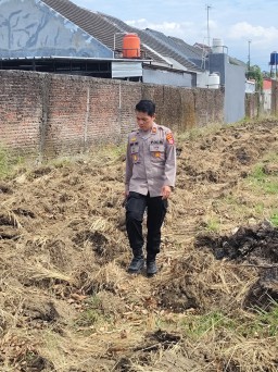 Polsek Lemahwungkuk Cek Perkembangan Lahan Jagung Dukung Ketahanan Pangan