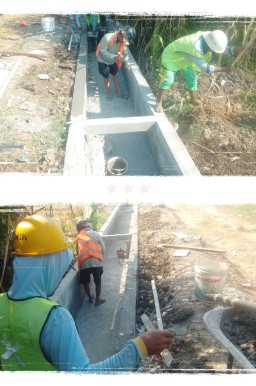 Pelaksana Gercep Lanjutkan Finishing Proyek Disperta Jombang