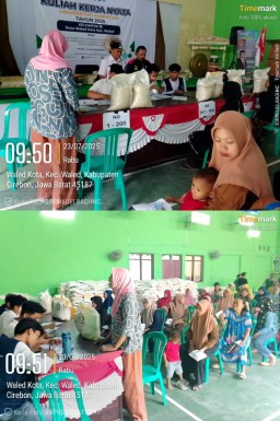 559 KPM Warga Waled Kota Kecamatan Waled, Mengantre Saat Terima Beras Bulog di Aula Waled Kota Sampai Tertib