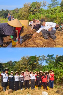 POLSEK TALUN GANDENG DESA SARWADADI TANAM 1 HEKTAR JAGUNG 