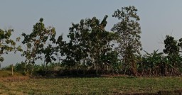 Pembangunan SarPras Makam Desa Bawangan Diduga Fiktif, Warga Pertanyakan Kejelasan Proyek