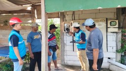 Dukung Ekonomi Kerakyatan, PLN Elektrifikasi 21 Ribu Lebih Petani Buah Naga di Banyuwangi
