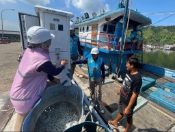 Dengan Semangat Kemerdekaan, PLN Catat Penjualan 155,62 TWh pada Semester I 2025, Konsumsi Listrik Nasional Tumbuh