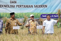 AFCO Group dan Dinas Pertanian Jombang Wujudkan Program Bapak Asuh Petani
