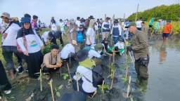 Menyambut Hari Pahlawan, PLN Rehabilitasi Mangrove Lindungi Pesisir Utara Jateng dari Banjir Rob Bersama Warga