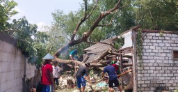 Akibat Curah Hujan Lebat, Rumah Warga di Lamongan Tertimpa Pohon Rata dengan Tanah