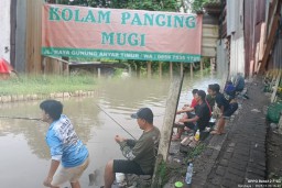 Antusias Tinggi, Galatama Lele Kolam Pancing MUGI JAYA Diserbu Pemancing Mania