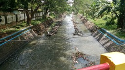 Diduga Proyek Siluman di Sungai Keplaksari Jombang, BBWS Provinsi Jadi Sorotan