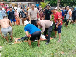 Tertabrak Kereta API, Bapak Ibu dan 2 Anaknya Meninggal Dunia, 1 Balita Selamat