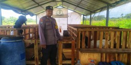 Anggota Polisi Berperan Ganda : Aipda Agus Bhabinkamtibmas Polsek Gempol Pasuruan Sukses Jadi Peternak Domba