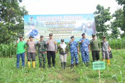 Sinergitas Perhutani KPH Jombang Dan TNI/ Satrad 405, Tanam Ribuan Jati Bentuk Tanggung Jawab Kelestarian Hutan