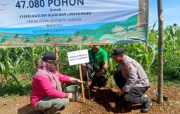 Perhutani Jombang Tanam 47 Ribu Pohon, Di Hutan Lebak Jabung Bersama Muspika Wonosalam