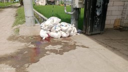 DLH Jombang Dinilai Lamban Tanggapi Limbah CV Suga Putra Berkah Cemari Irigasi dan Sawah