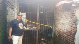 Guna Ungkap Penyebab Kebakaran, Polresta Cirebon Lakukan Olah TKP di Pasar Lemahabang