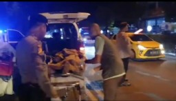 Gagal Menyalip di Jalan Jaksa Agung Suprapto, RX King Adu Banteng dengan CB: 3 Korban Patah Tulang