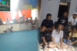 Diduga Dilindungi Oknum, Arena Judi Sabung Ayam di Ponorogo Bebas Beroperasi, Kinerja Aparat Dipertanyakan!